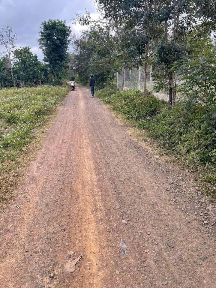 Đất thổ cư Thôn 11A, xã Ea Ktur, 425m² giá 650 triệu - Góc 2 mặt tiền đẹp khó tìm!