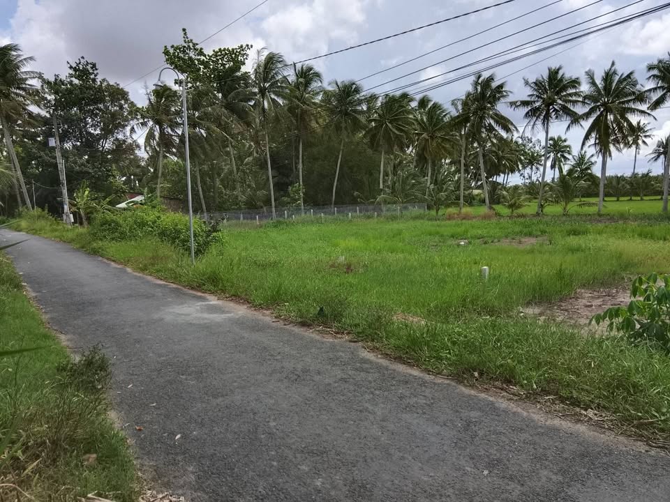 Đất nền Tân An Luông, Vũng Liêm, Vĩnh Long 149m² giá 320 triệu - Đầu tư sinh lời ngay!