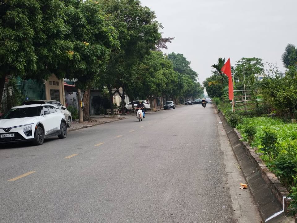 Đất nền kinh doanh mặt phố Hòa Bình, phường Quang Trung, Hải Dương 100m² - Vị trí đắc địa, giá tốt!