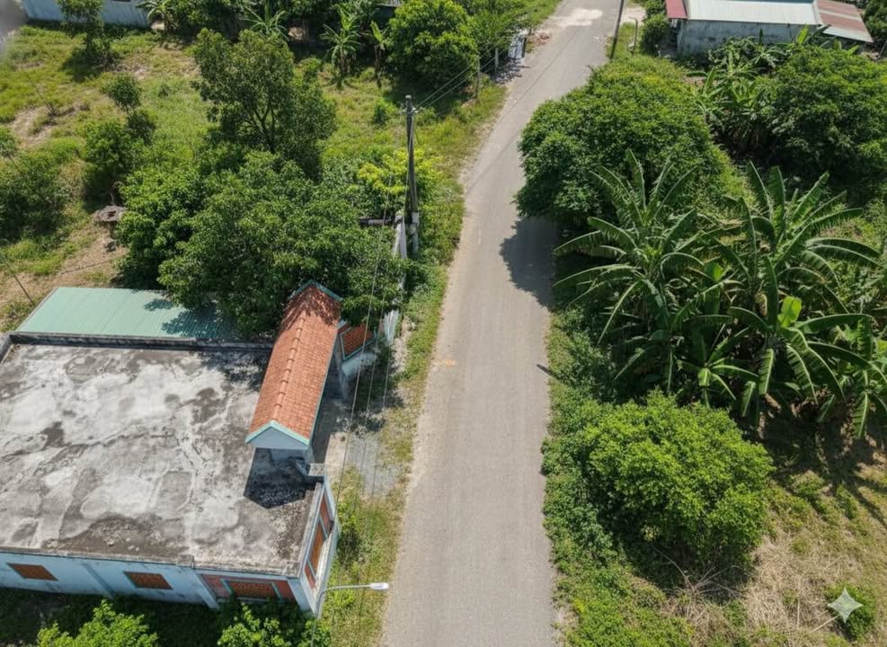 Đất vườn thổ cư 160m² tại Tân Phú Trung, Củ Chi - Đầu tư sinh lời 3.7 tỷ!