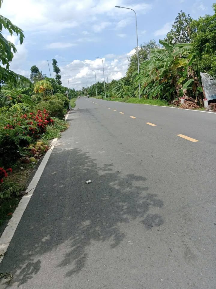 Đất mặt tiền TL864, xã Mỹ Lương, Cái Bè, 460m² chỉ 170 triệu - Cơ hội đầu tư không thể bỏ qua!