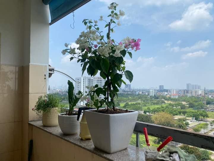 Chung cư KĐT mới P Việt Hưng 80m² giá 1.75 tỷ - Tặng full đồ cho chủ mới!