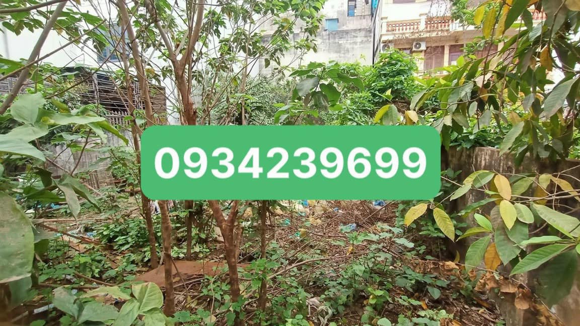 Đất nền Long Biên 250m² giá thỏa thuận - Mặt tiền khủng 10m, cơ hội đầu tư tuyệt vời!