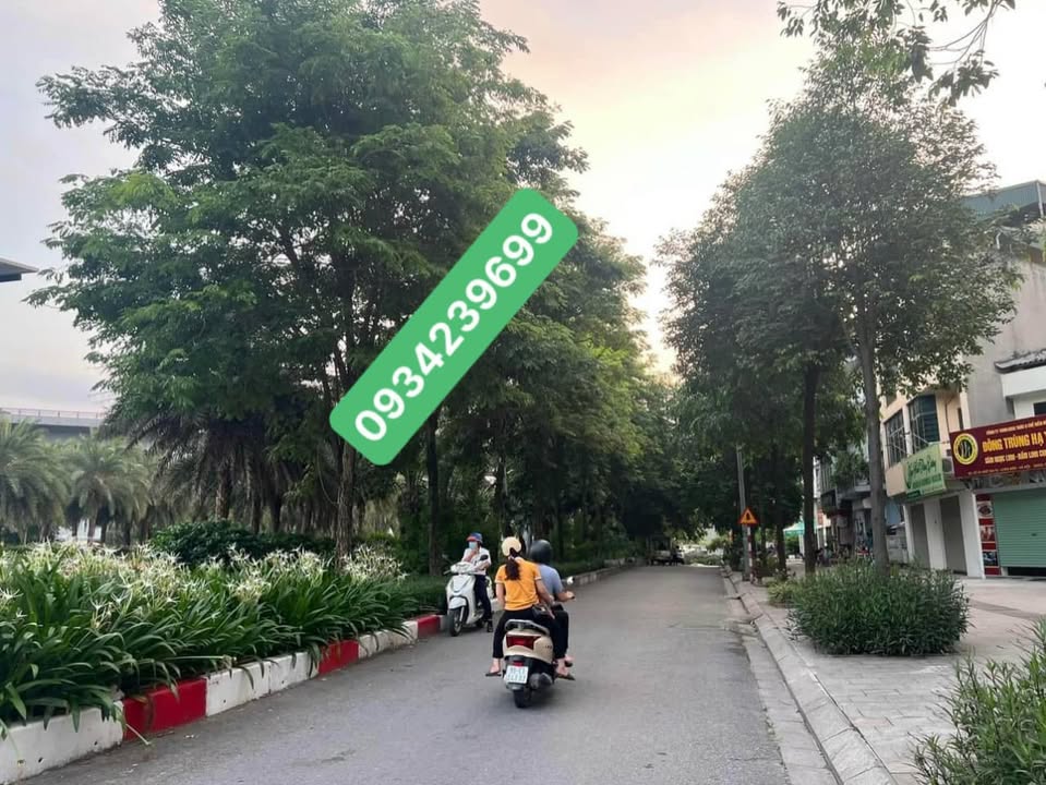 Nhà C4 Ngô Gia Tự 36m² giá 3 tỷ - Đầu tư sinh lời ngay!