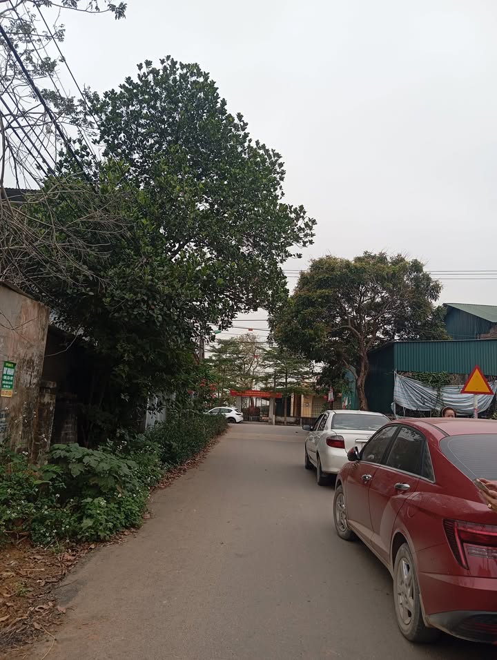 Đất nền phường Quang Sơn, Tam Điệp, Ninh Bình 95m² - Kinh doanh thuận lợi ngay trục chính!