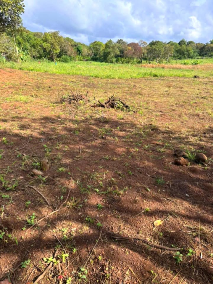 Đất sỏi đỏ 10,000m² tại Quảng Hiệp, Cư M'gar - Sổ đỏ chính chủ, giá 1.3 tỷ!