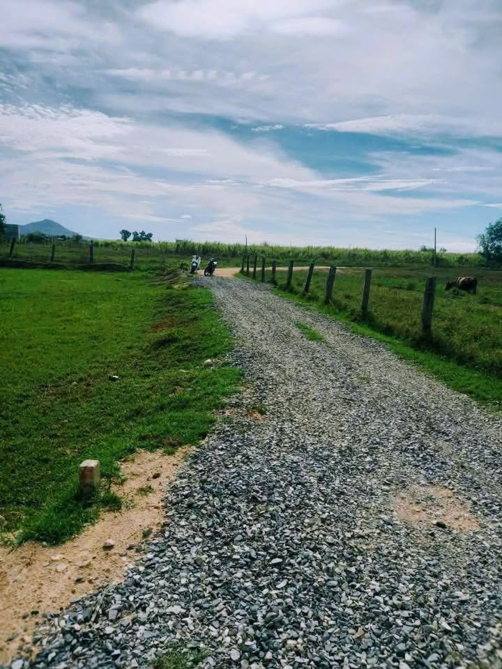 Đất thổ cư Hàm Chính, Hàm Thuận Bắc 1100m² giá 390 triệu - Đường ôtô vào tận nơi!