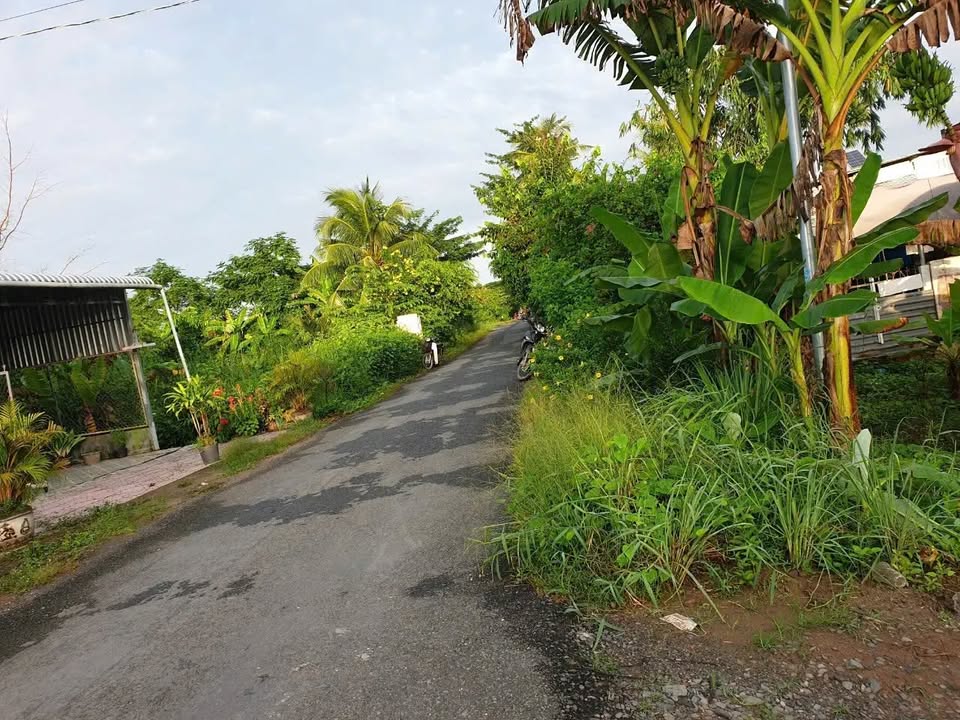 Đất nền mặt tiền Trường Long Vàm Bi 340m² giá chỉ 8xx triệu - Cơ hội đầu tư tuyệt vời!