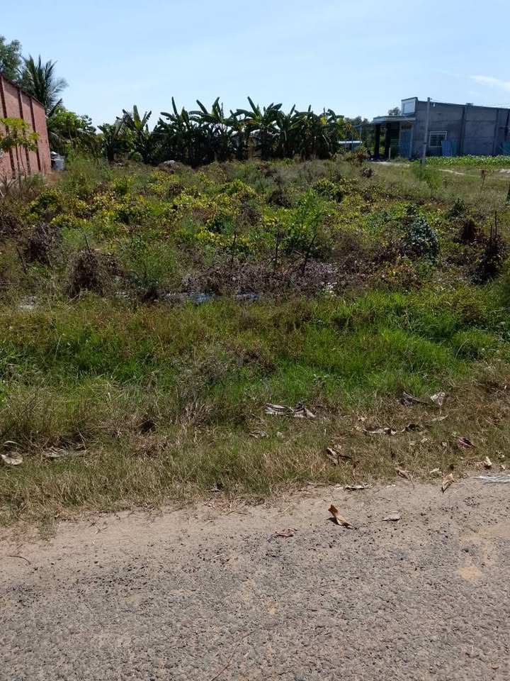 Đất Phước Thạnh Gò Dầu 410m² giá 115 triệu - Hai mặt tiền đường nhựa!