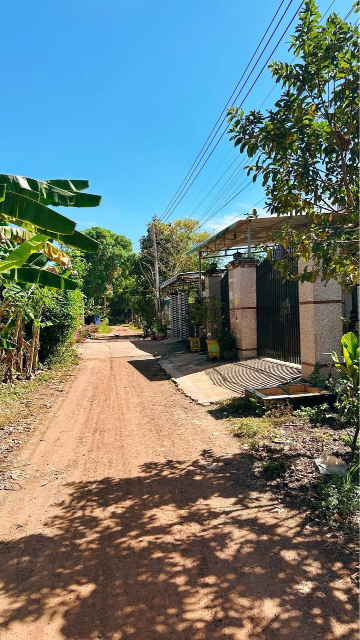 Đất nền Trừ Văn Thố, Bàu Bàng 440m² giá 1 tỷ - Đường thông tứ hướng, dân đông!