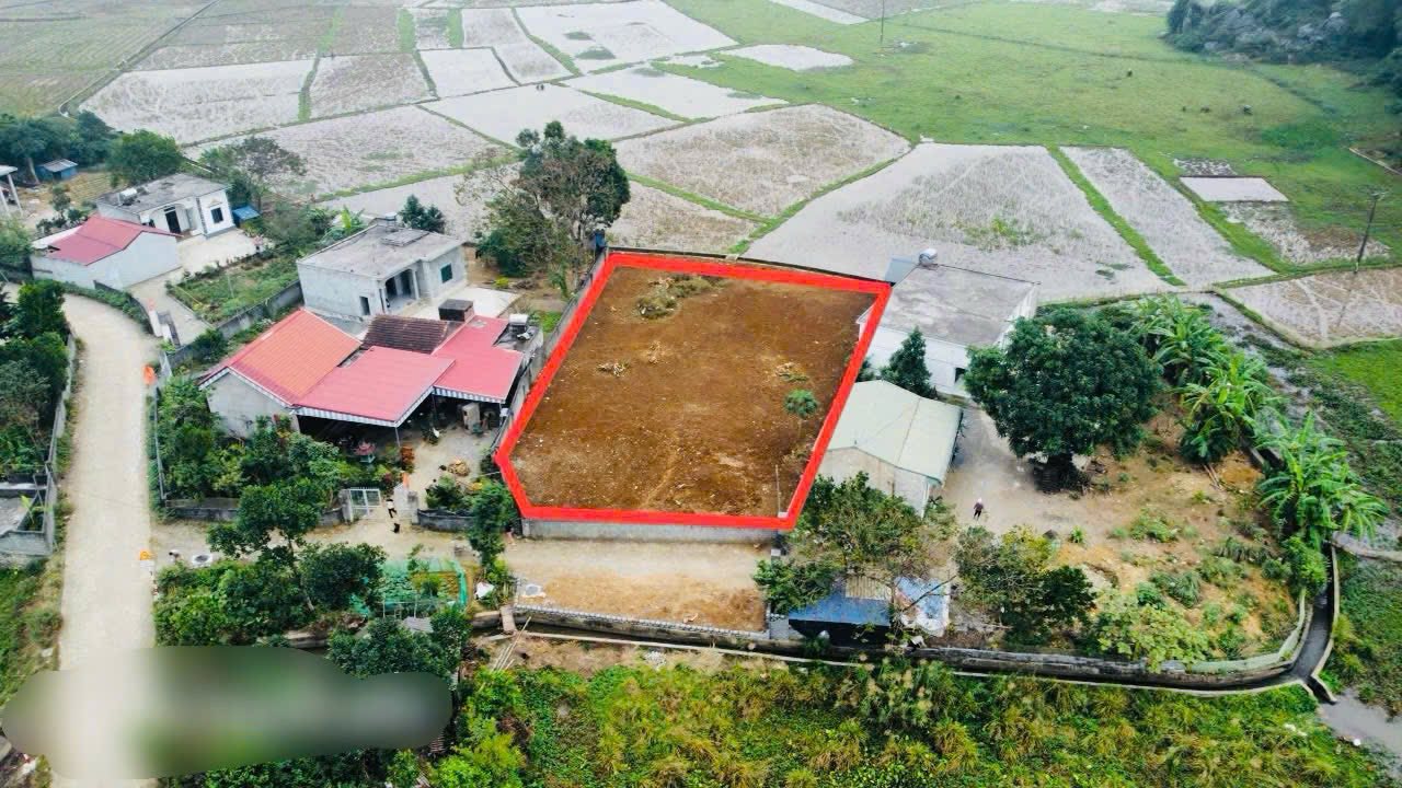 Đất nền Cao Dương Lương Sơn 1000m² - View cánh đồng và núi tuyệt đẹp