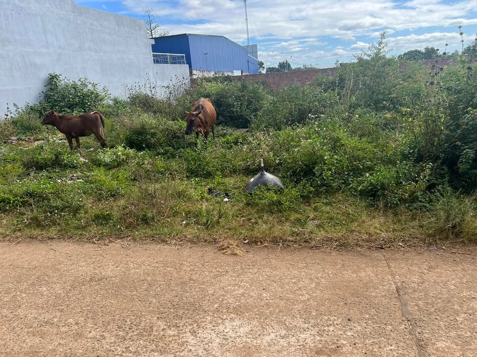 Đất nở hậu Ỷ Lan, Biển Hồ 168m² giá 750 triệu - Cơ hội đầu tư tuyệt vời!