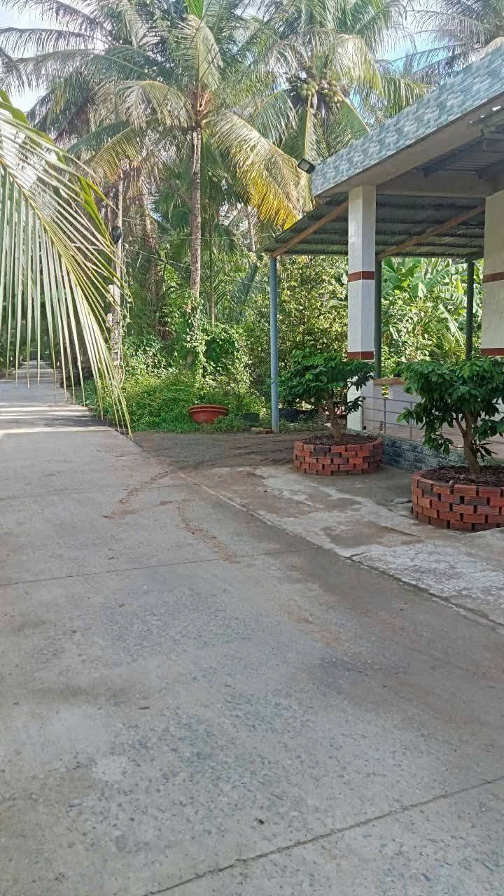 Đất nền đẹp Giồng Trôm Bến Tre 500m² giá 900 triệu - Gốc 2 mặt tiền thuận lợi!