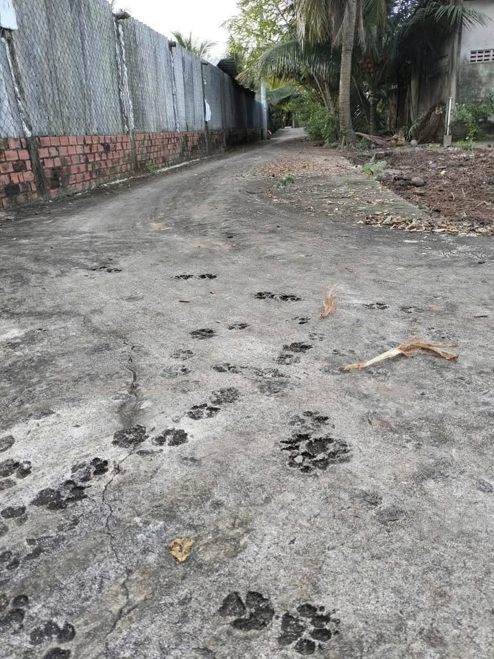 Đất thổ cư Mỹ Lợi, Mỹ Phong 67m² giá 4xx - Cơ hội đầu tư hấp dẫn!