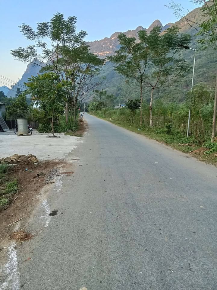 Đất nền Lùng Tám 1450m² giá 2 tỷ - Đầu tư sinh lời ngay!