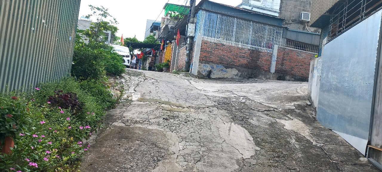 Bán đất khu dân cư Hồng Hà, P. Hạ Long 33m² - Nhà cấp 4 với dòng thu nhập ổn định!