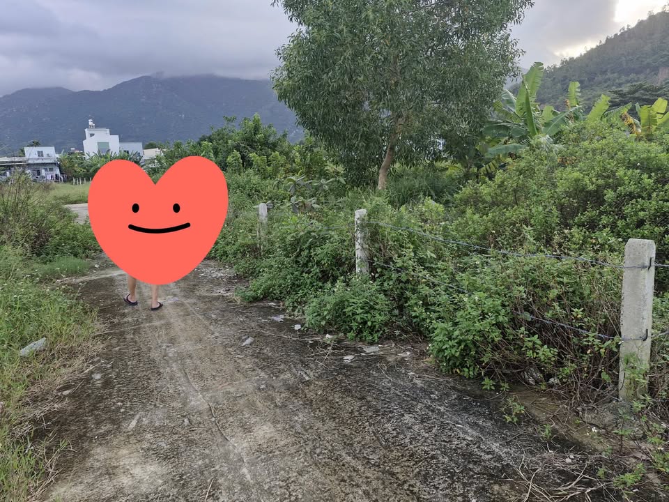 Đất nền Phước Đồng Nha Trang 76,7m² giá 500 triệu - Sổ đỏ thổ cư, khu vực cao ráo!