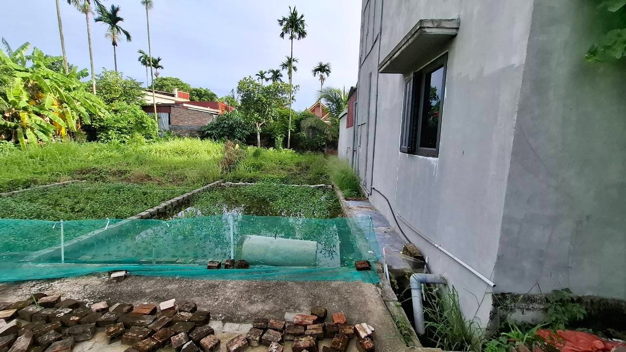 Đất thổ cư chính chủ tại thôn Đồng Xuân, An Lão, 68m² - Giá cả hợp lý, vị trí đẹp!