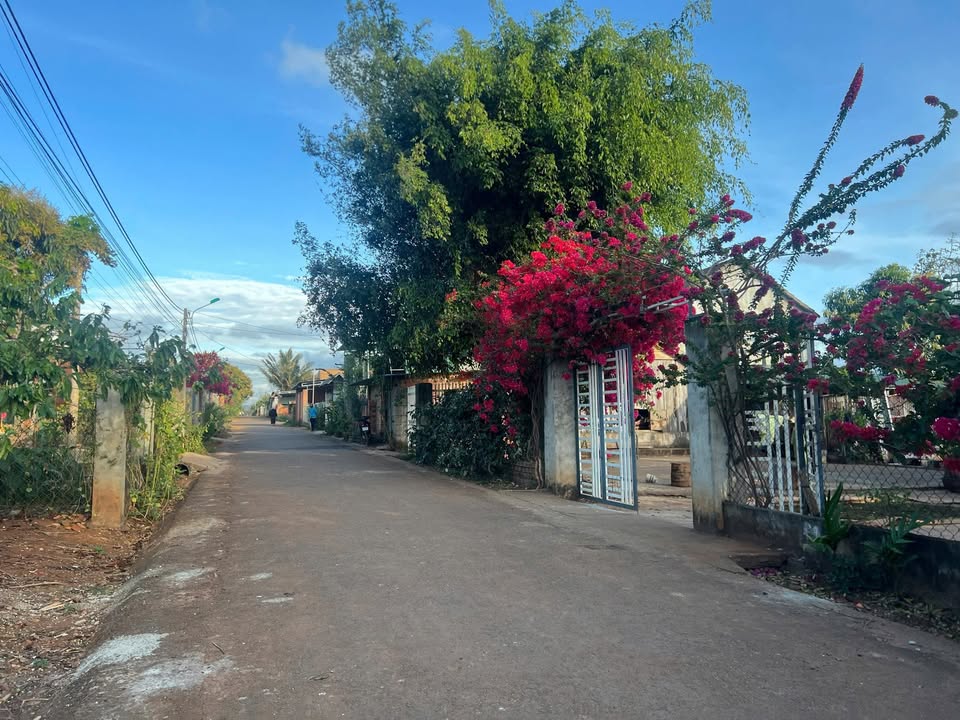 Đất nền Ea Kao Buôn Ma Thuột 200m² giá 675 triệu - Đầu tư tuyệt vời cho nhà vườn!