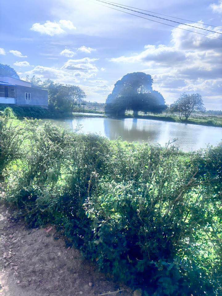 Đất nền liền kề tại chợ EaKao, Buôn Ma Thuột 145m² giá 1.1 tỷ - Đầu tư sinh lời ngay!