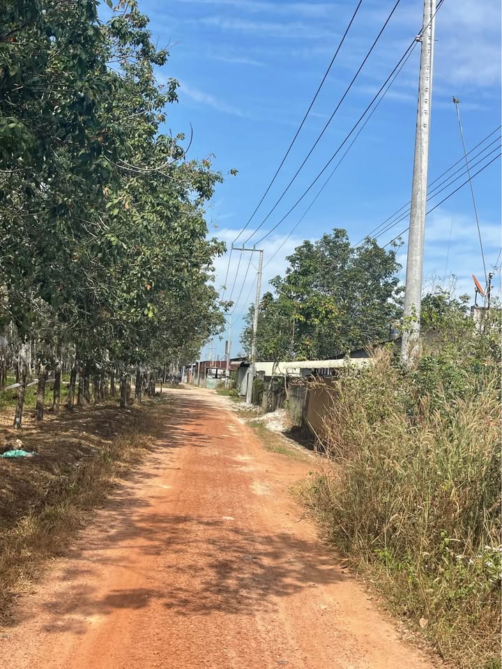 Đất nền Dầu Tiếng, Bình Dương 1800m² giá 1.18 tỷ - Đầu tư sinh lời ngay!