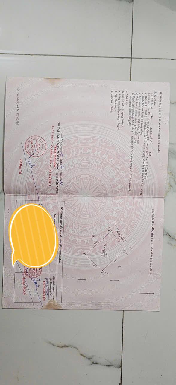 Đất nền Quảng Tân, Tuy Đức 2000m² chỉ 1.2 tỷ - Sổ đỏ chính chủ!