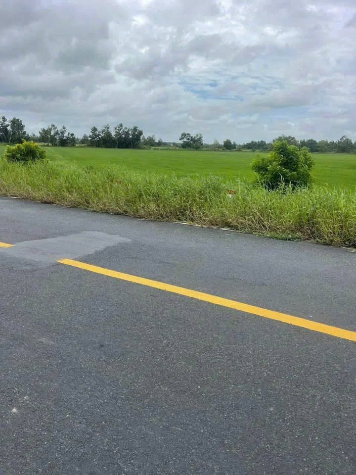 Đất mặt tiền Cống Cái, Minh Lương, Châu Thành 1600m² giá 1.19 tỷ - Cần bán gấp!