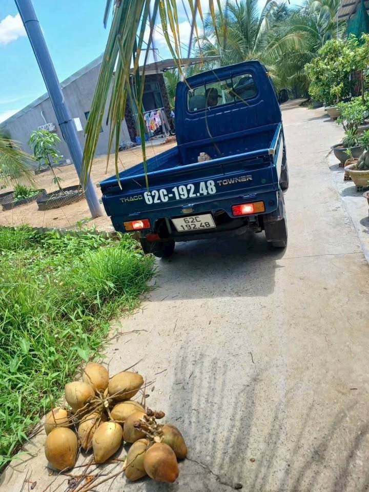 Đất thổ cư 150m² tại Trung Hòa, Chợ Gạo - Giá chỉ 390 triệu, sẵn sàng xây dựng!