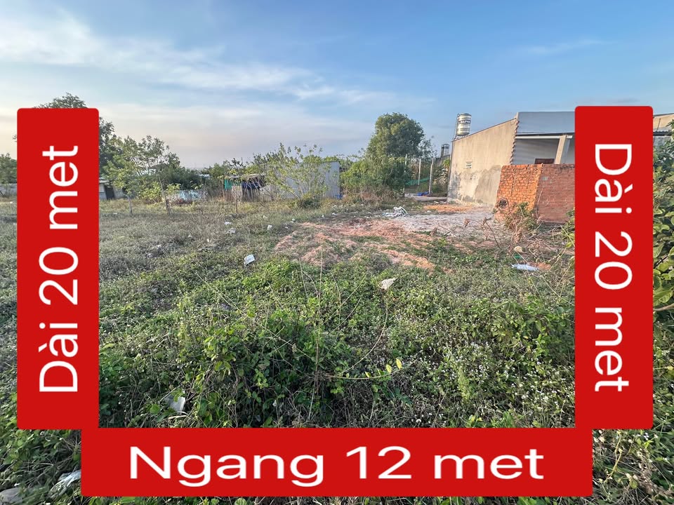 Lô đất hẻm xe hoa Lâm - Trương Văn Ly, 220m² giá 280 triệu - Cần bán gấp dịp Tết!