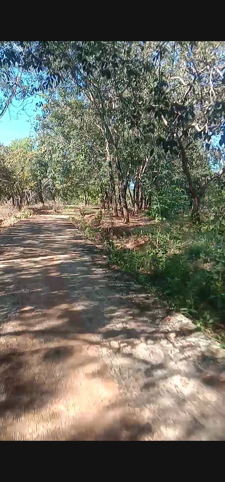 Đất nền Tân Hưng Đồng Phú 1.8ha giá 2.85 tỷ - Địa thế vàng cho đầu tư!