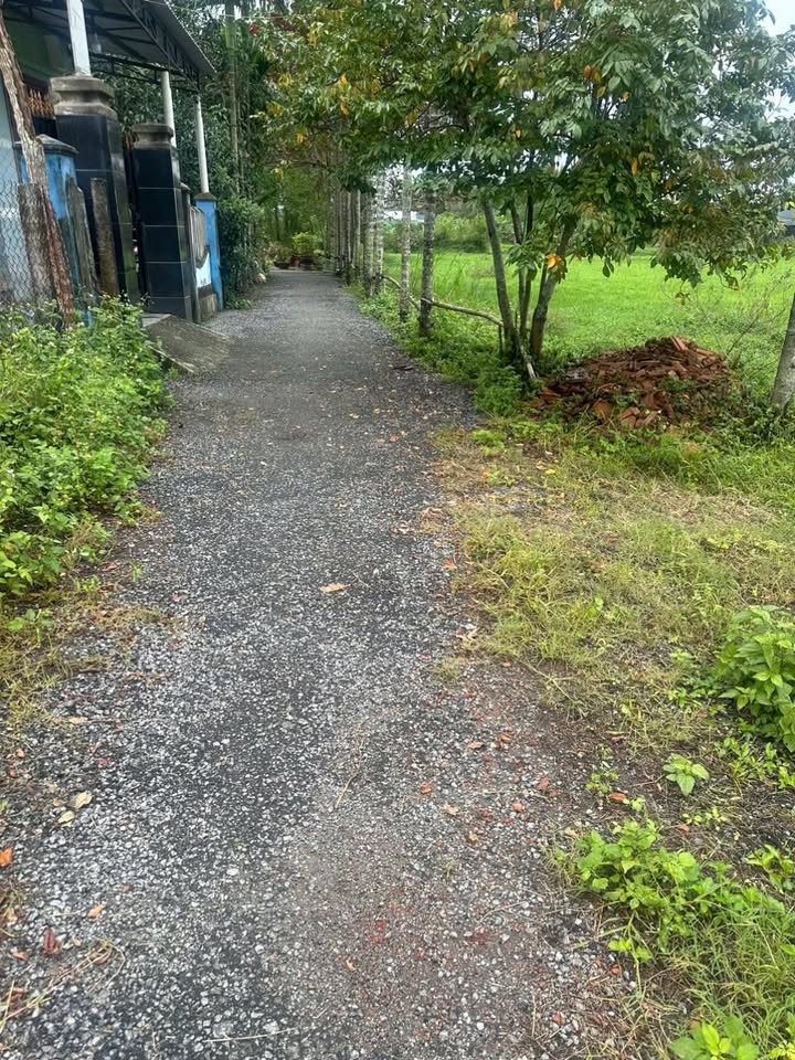 Đất nền Tam Hiệp, Núi Thành 120m² - Sổ đỏ chính chủ, giá thỏa thuận!