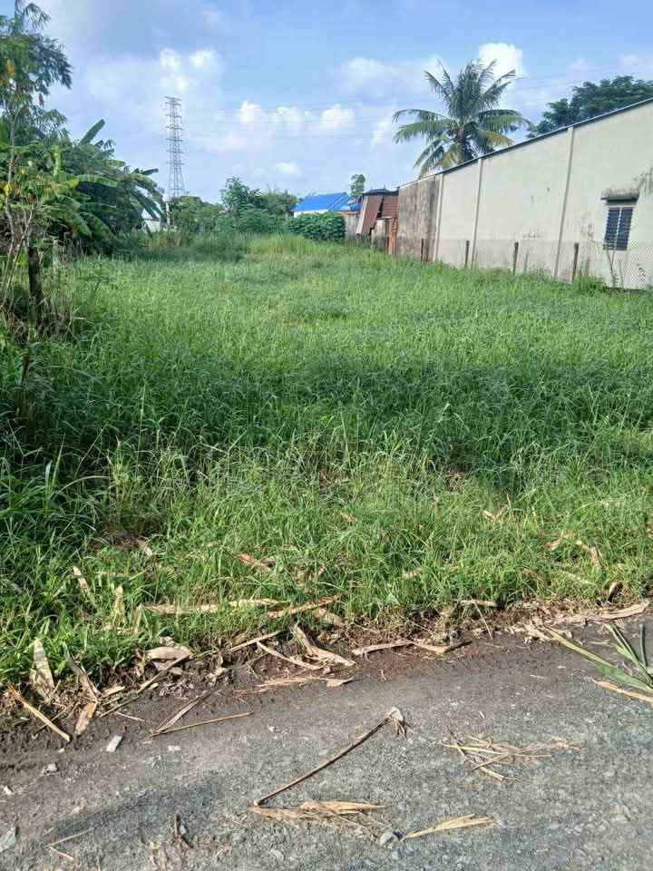 Đất nền Ấp Bàu Trai Hạ, Tân Phú 297.5m² giá chỉ 1.25 tỷ - Sổ hồng chính chủ!