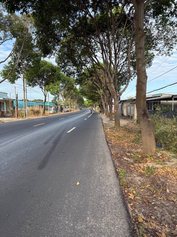 Đất mặt tiền Quốc Lộ 55, xã Bưng Riềng, 636m² giá 3.5 tỷ - Cơ hội đầu tư hiếm có!