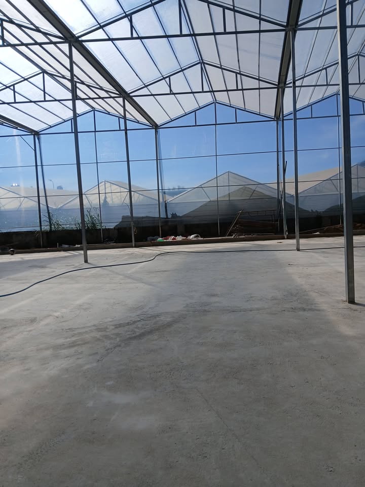 Đất mặt tiền đường Võ Trường Toản, Đà Lạt 125m² giá 2.8 tỷ - Cơ hội đầu tư hấp dẫn!