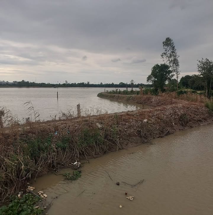 Đất lúa 11.730m² Tân Khánh Trung giá 1.9 tỷ - Tiềm năng phát triển lớn!