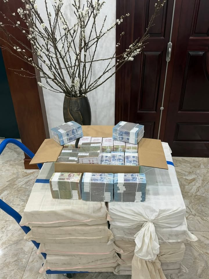 Đất nền Hòa Long Bắc Ninh 50m² giá chỉ 1 tỷ - Cơ hội đầu tư tuyệt vời!