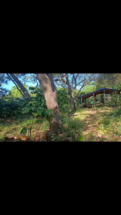 Đất nền Bù Đăng 60000m² giá 1.2 tỷ - Đầu tư sinh lời ngay!