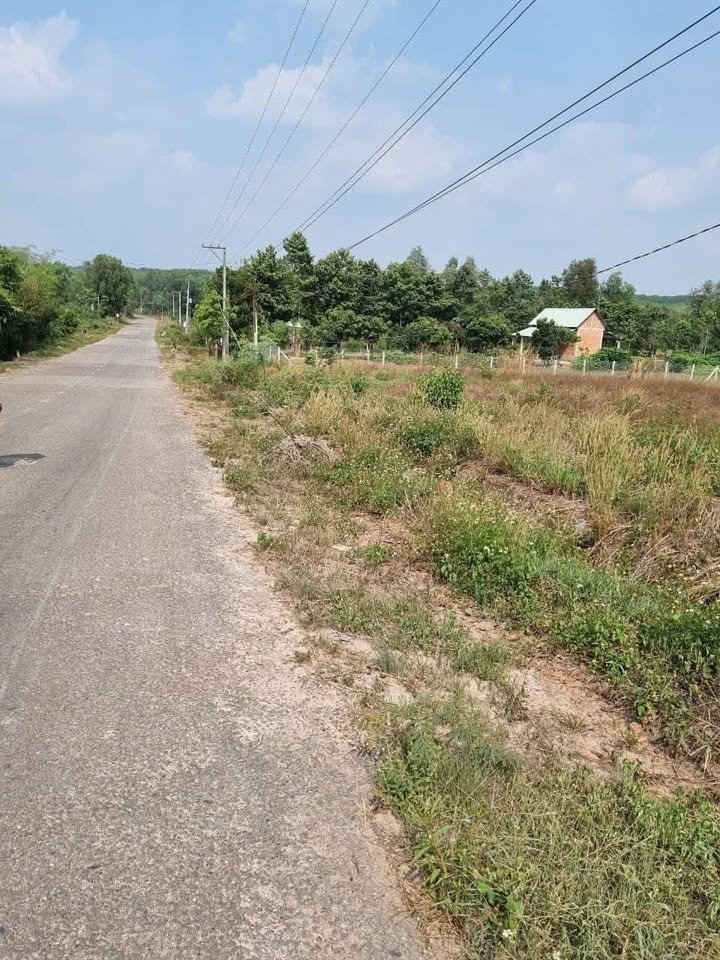 Đất mặt tiền đường DH 415, xã Đất Cuốc, 1122m² giá 3 tỷ - Cơ hội đầu tư vàng!