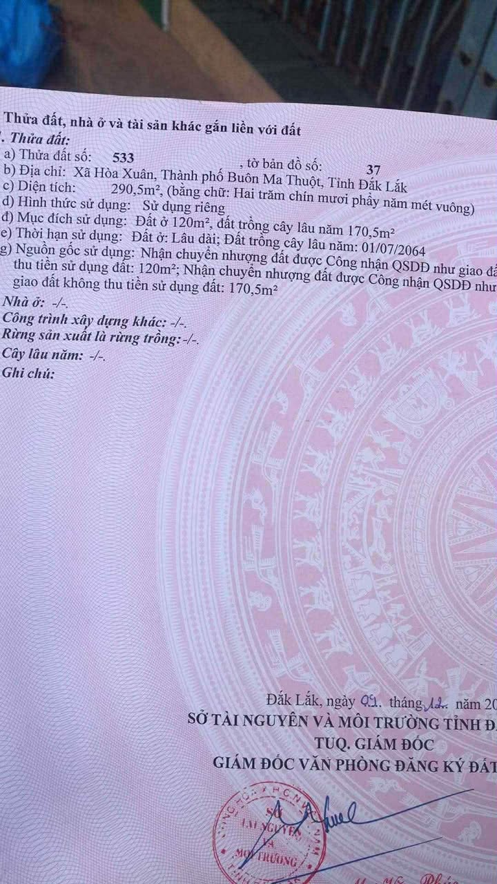 Bán đất thổ cư Thôn 3, xã Hòa Xuân 290m² giá 970 triệu - Cơ hội đầu tư hiếm có!