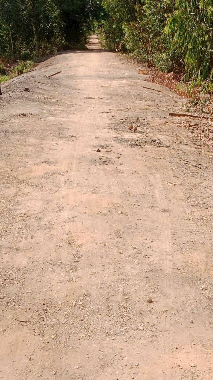 Đất nền Tân Phước Tiền Giang 30,6ha giá 8,5 tỷ - Cơ hội đầu tư sinh lời!