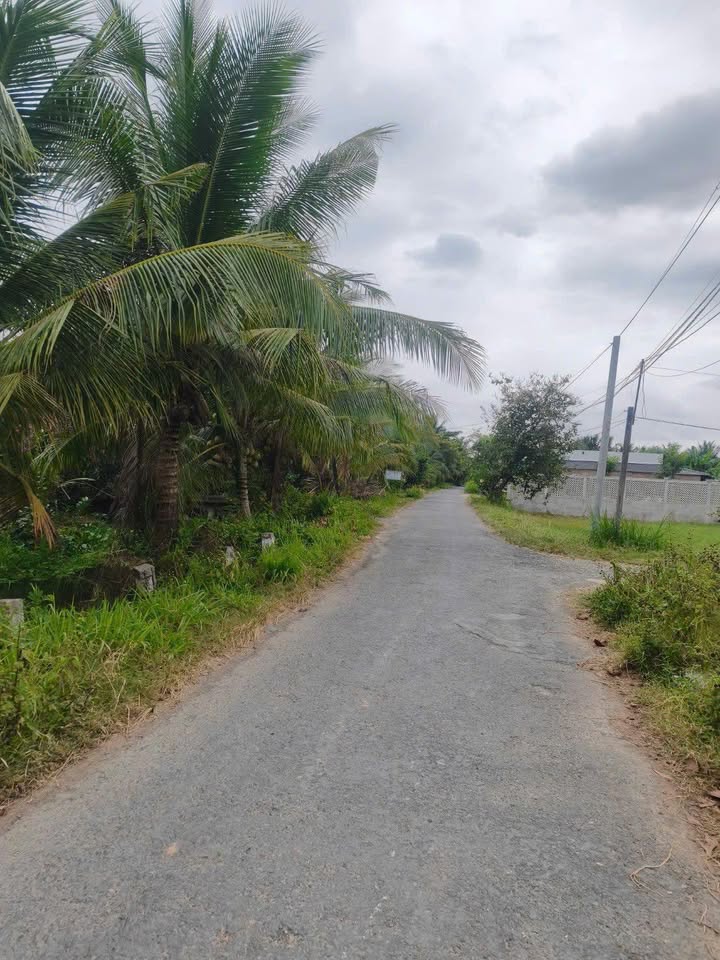 Đất nền An Hiệp, Ba Tri 2300m² giá 1.1 tỷ - Đầu tư sinh lời ngay!