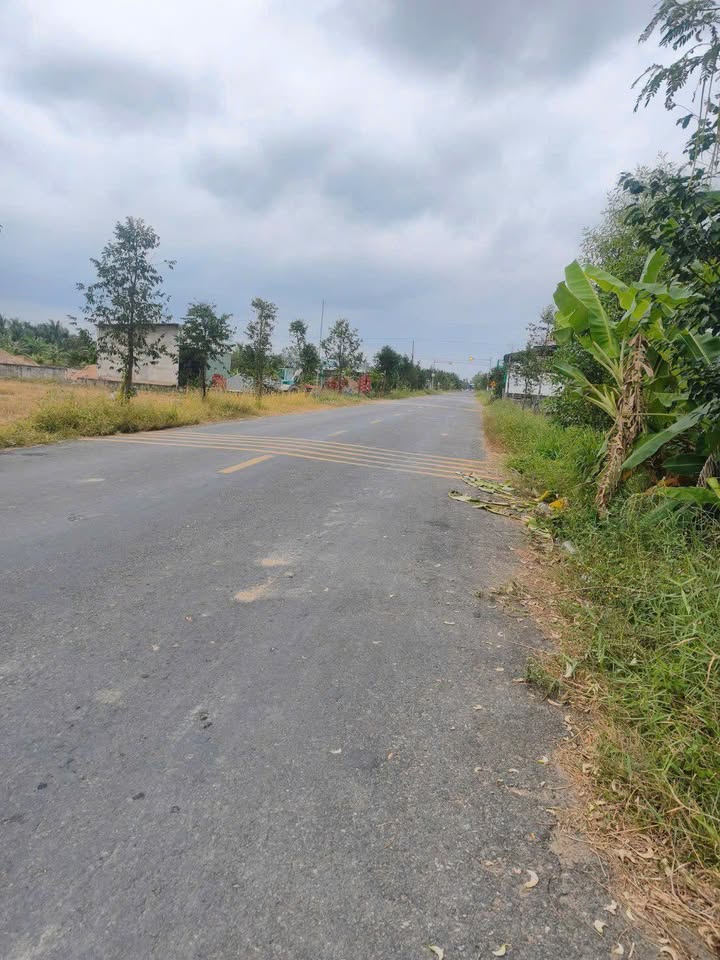 Đất mặt tiền đường 173, xã Mỹ Hòa, huyện Ba Tri 7627m² - Giá chỉ 2 tỷ!