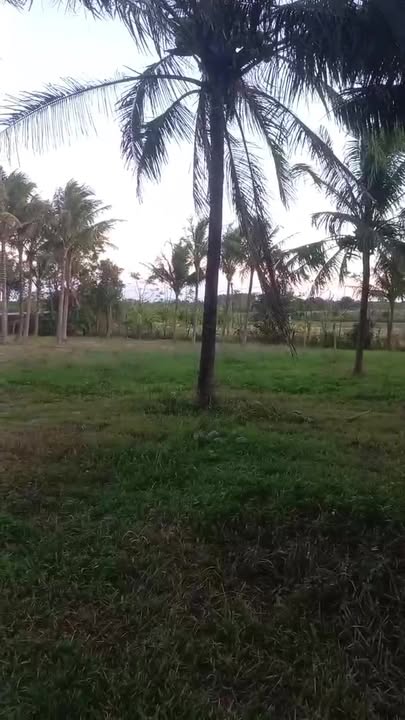 Đất nền Chư Puh 74x199m chỉ 200 triệu - Cơ hội đầu tư tuyệt vời!