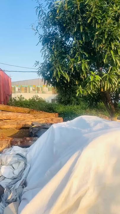 Đất nền Nghĩa Phong 110m² giá 2.6 tỷ - Kinh doanh thuận tiện, view sông thoáng đãng!