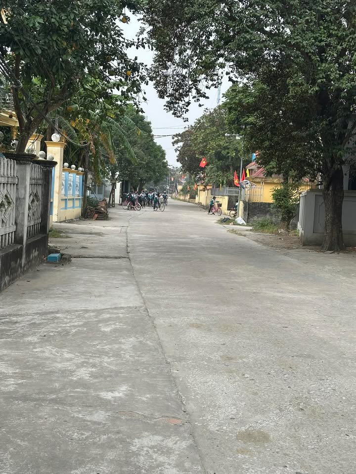 Đất nền Yên Minh, Ý Yên, 117m² giá 1.8 tỷ - Mặt tiền 5m, gần trường học!