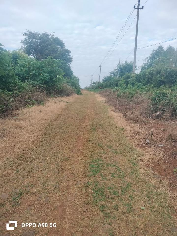 Đất rẫy Hòa Xuân Buôn Ma Thuột 6800m² giá 2.72 tỷ - Đường ô tô vào tận nơi!