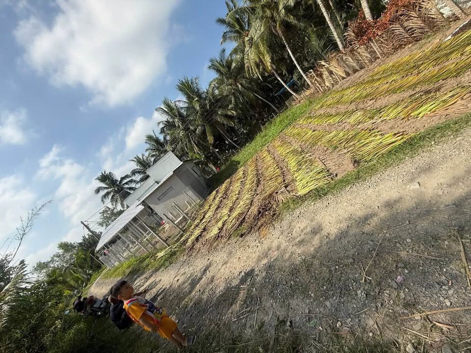 Đất thổ cư Hòa Hiệp, Vĩnh Long 135m² giá 210 triệu - Đầu tư sinh lời tuyệt vời!