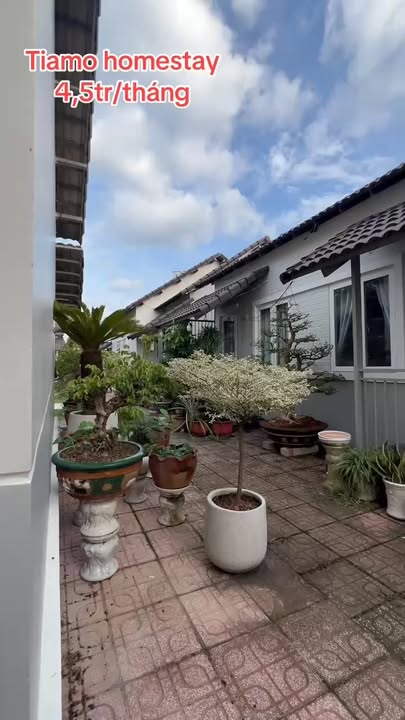 Homestay Tiamo Phú Thịnh Thủ Dầu Một 1 phòng ngủ chỉ 4.5 triệu/tháng - Nơi yên tĩnh lý tưởng!