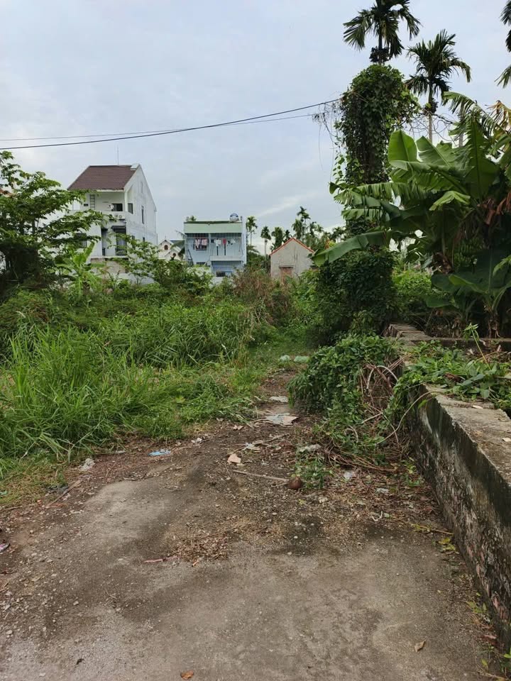 Đất đẹp trong chợ Đại Thắng, Hòa Nghĩa, Dương Kinh 125m² - Đầu tư sinh lời ngay!