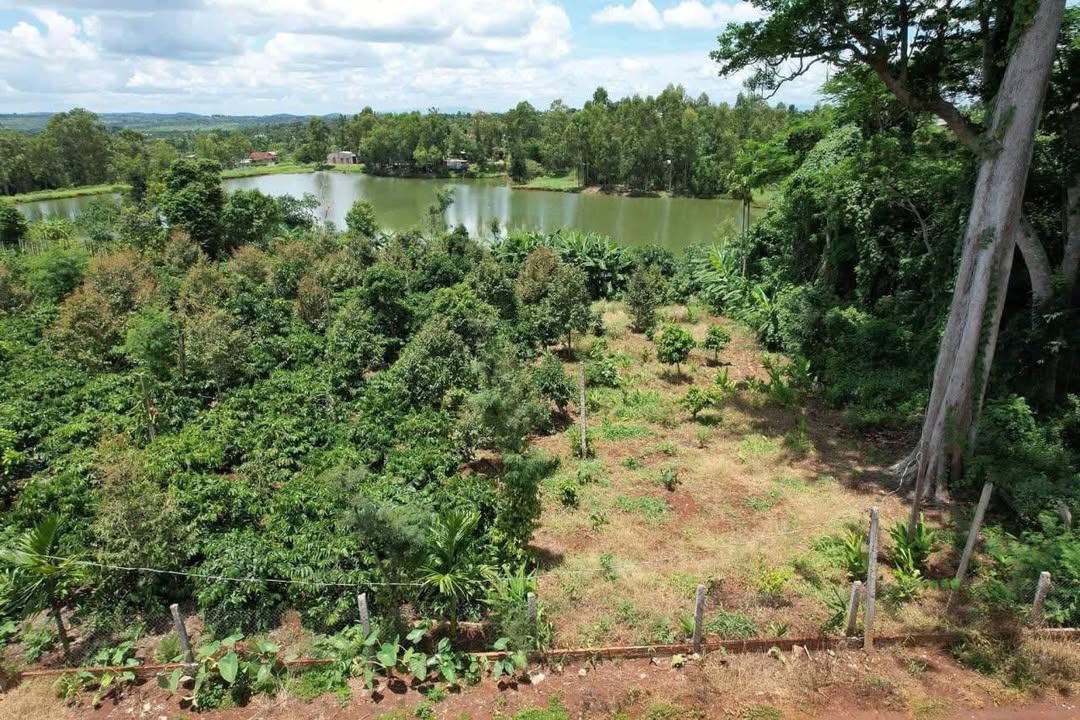 Đất nền Phú Xuân 732m² giá 1.2 tỷ - Tiềm năng đầu tư lớn!